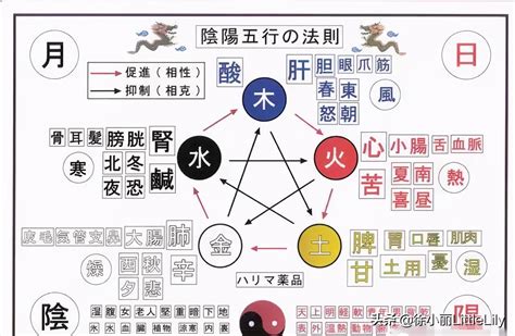 五情 五行|五行、五臟、五味、五色、五官、五情、五季的關係